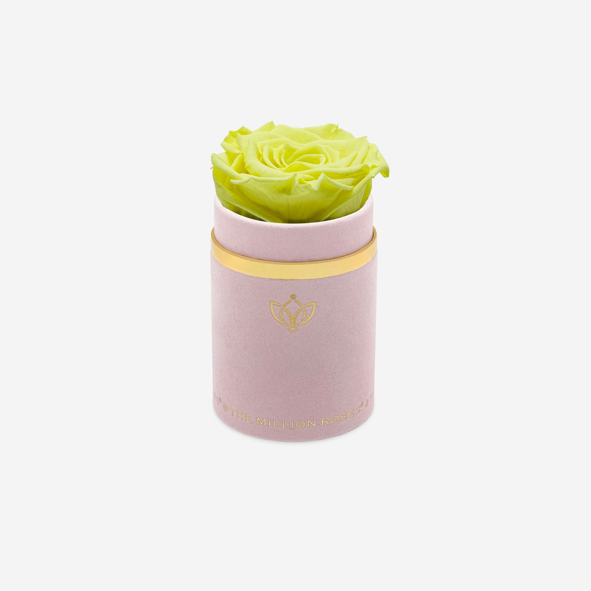 Single Light Pink Suede Box | Canary Yellow Rose - The Million Roses