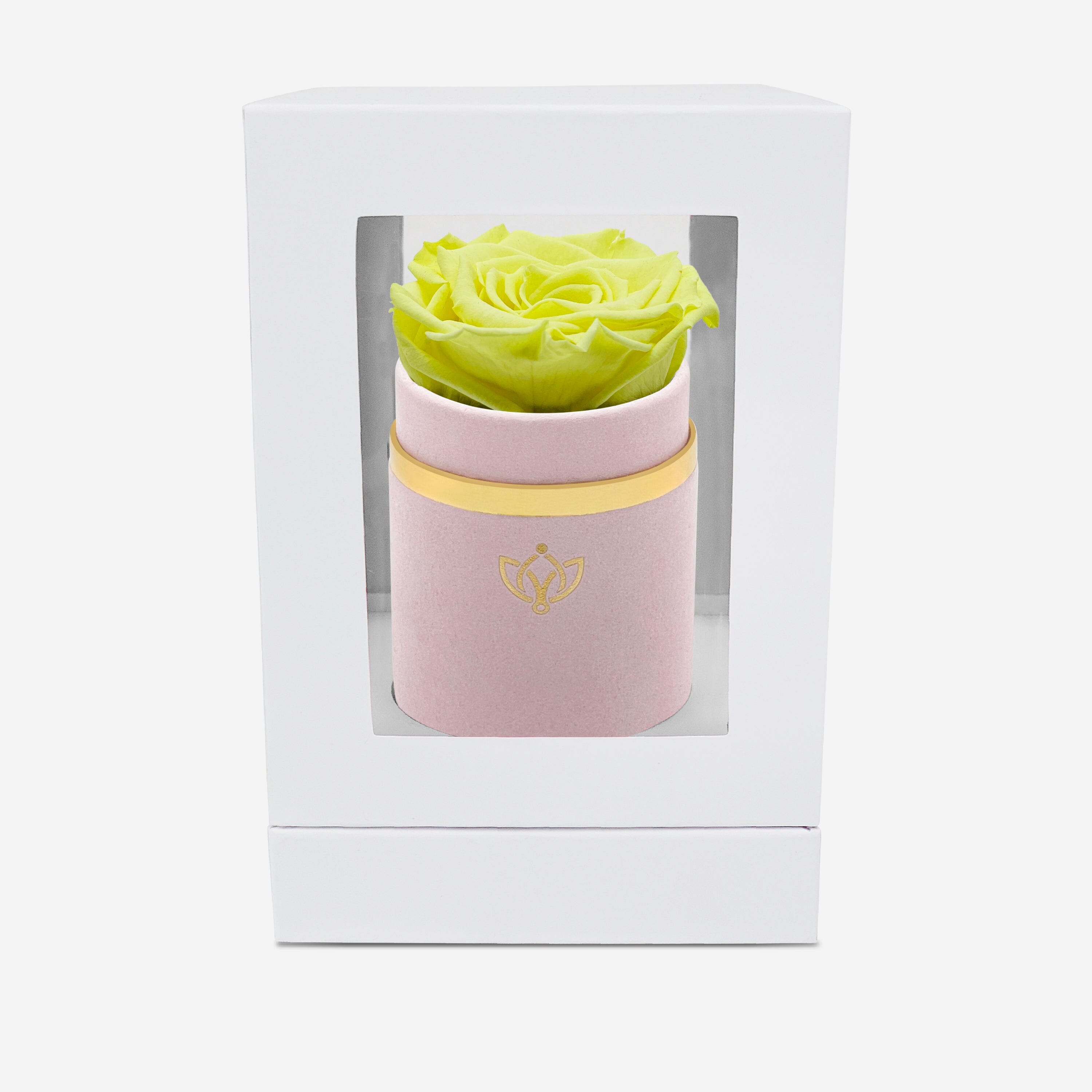 Single Light Pink Suede Box | Canary Yellow Rose - The Million Roses