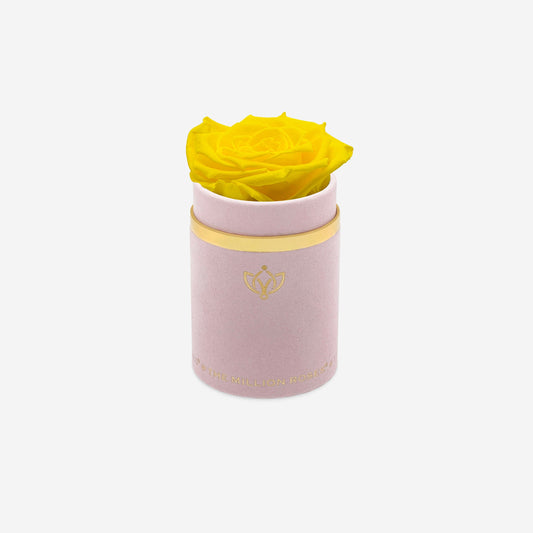 Single Light Pink Suede Box | Yellow Rose - The Million Roses