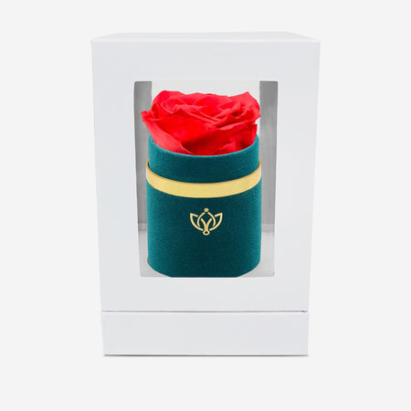 Single Dark Green Suede Box | Coral Rose - The Million Roses