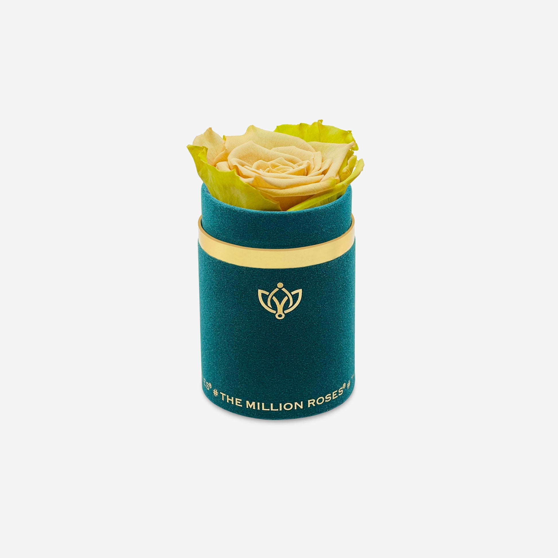 Single Dark Green Suede Box | Fawn Bicolor Rose - The Million Roses