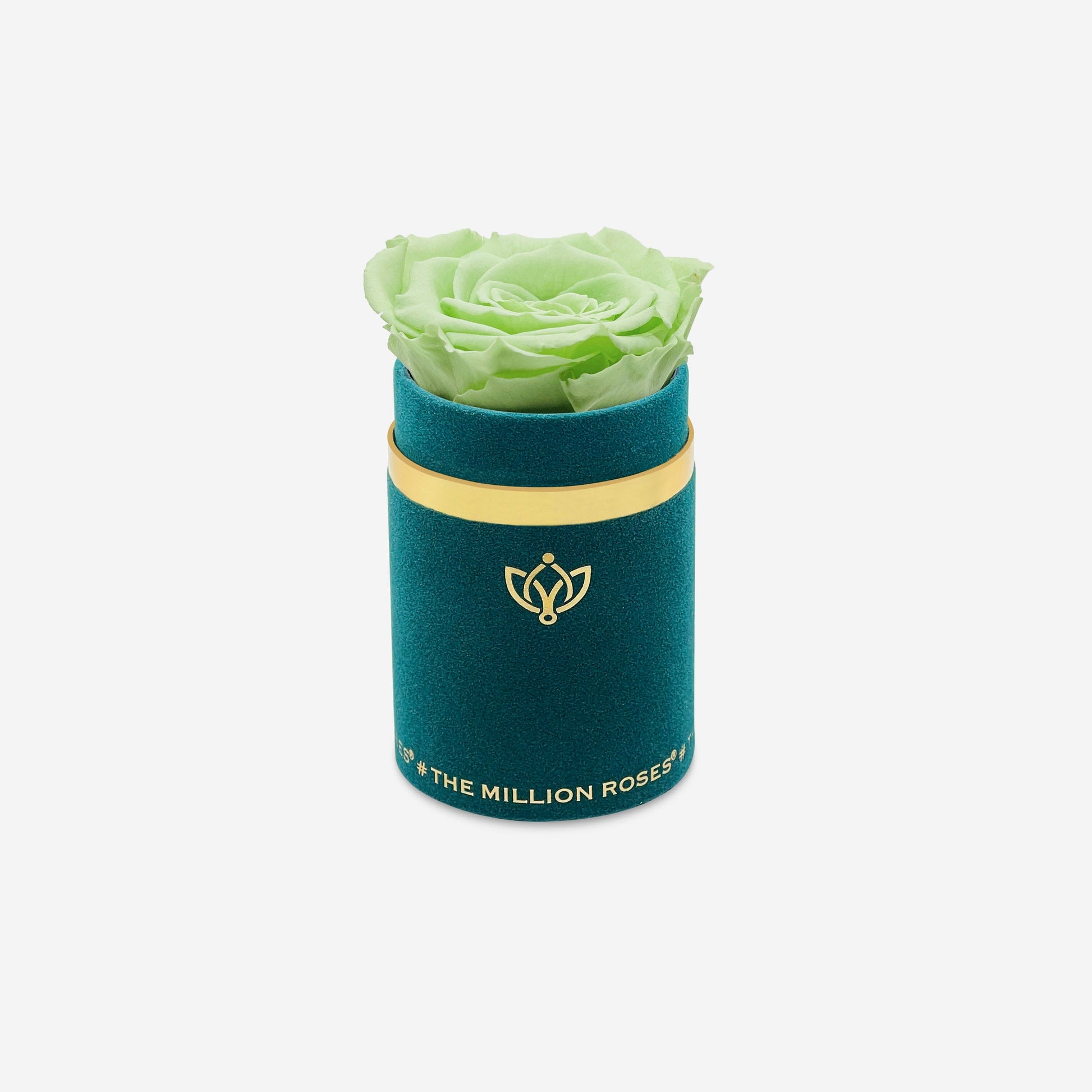Single Dark Green Suede Box | Mint Green Rose - The Million Roses