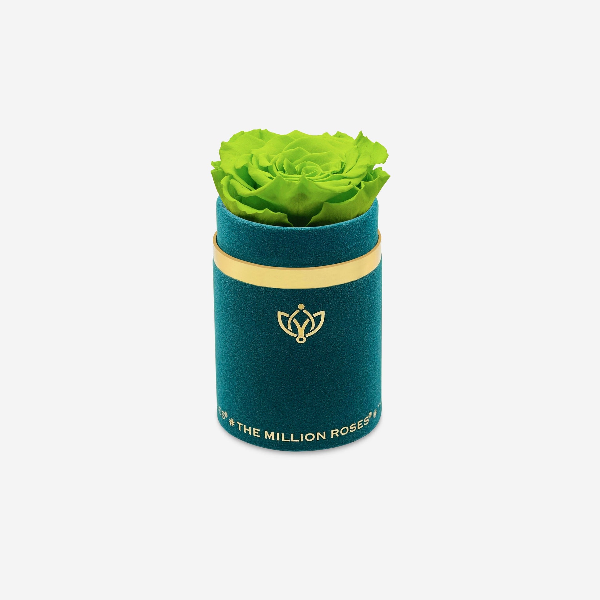 Single Dark Green Suede Box | Light Green Rose - The Million Roses