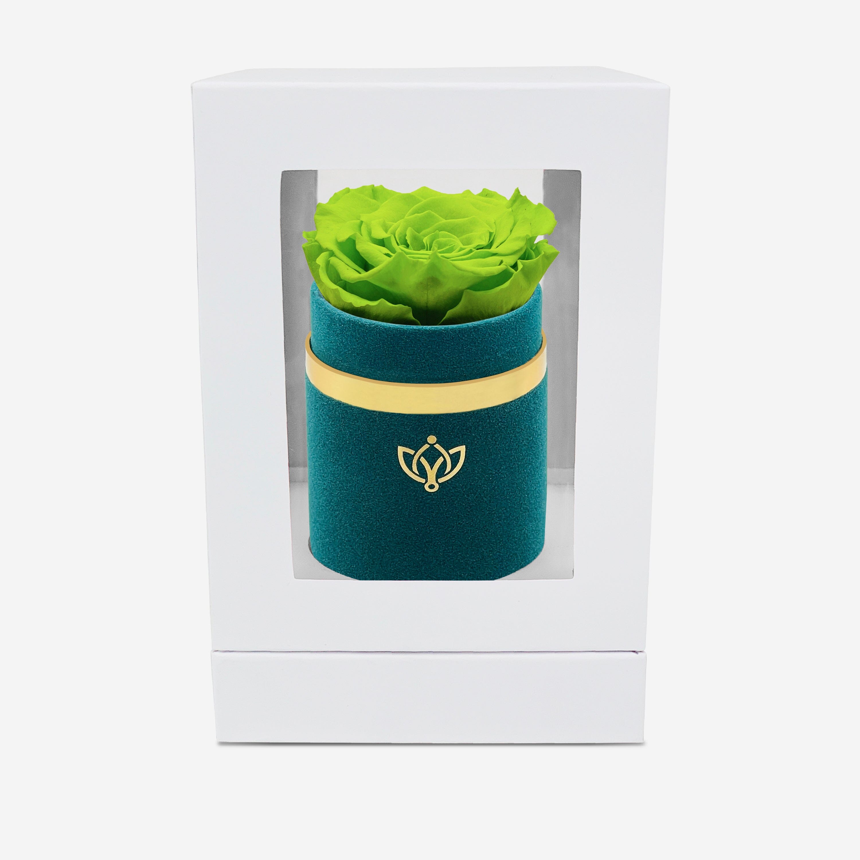 Single Dark Green Suede Box | Light Green Rose - The Million Roses