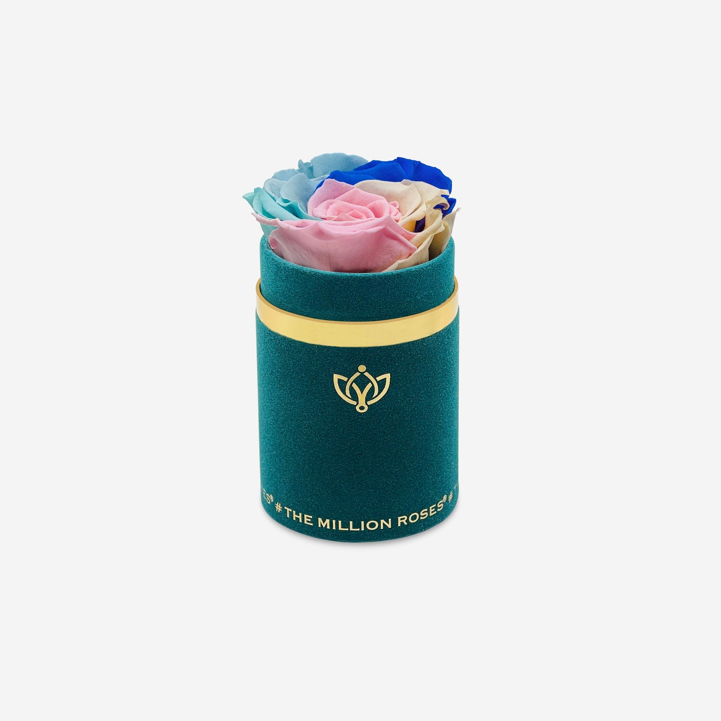 Single Dark Green Suede Box | Pastel Rainbow Rose - The Million Roses