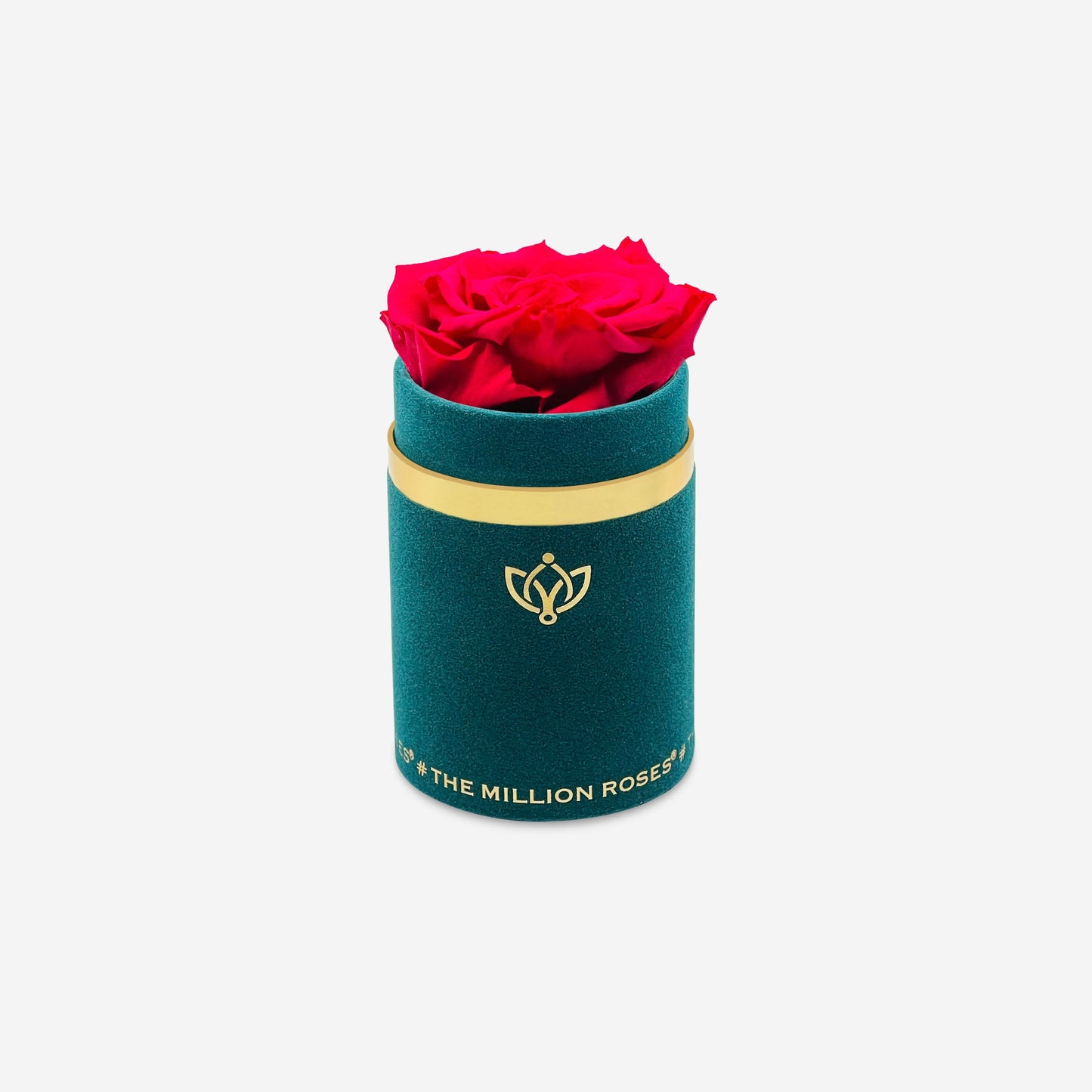 Single Dark Green Suede Box | Hot Pink Rose - The Million Roses