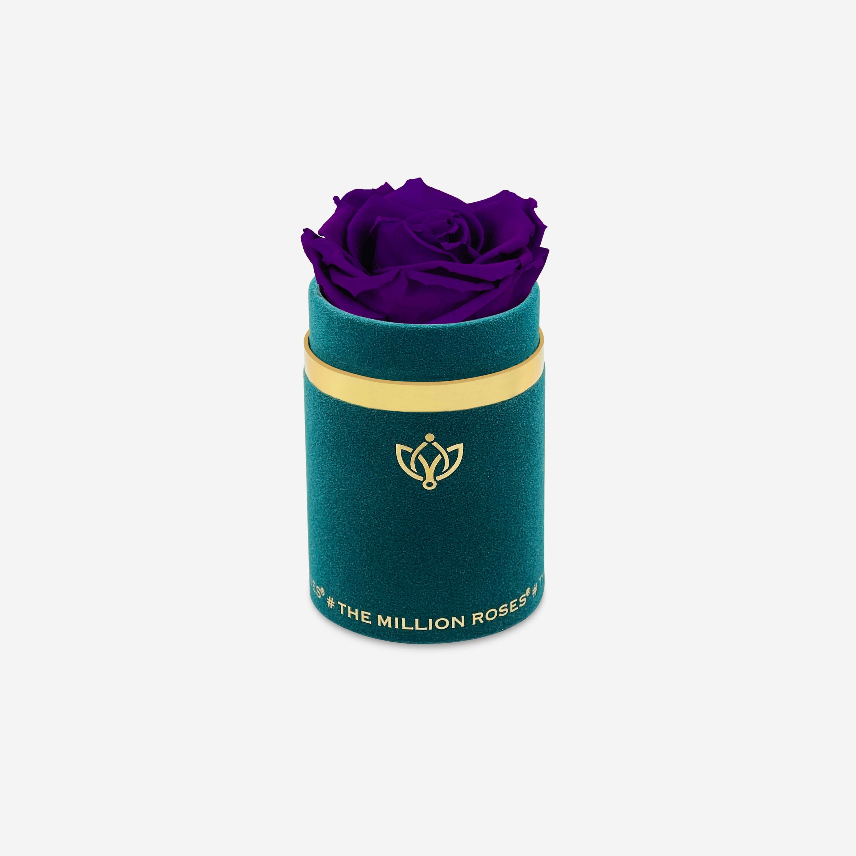 Single Dark Green Suede Box | Bright Purple Rose - The Million Roses