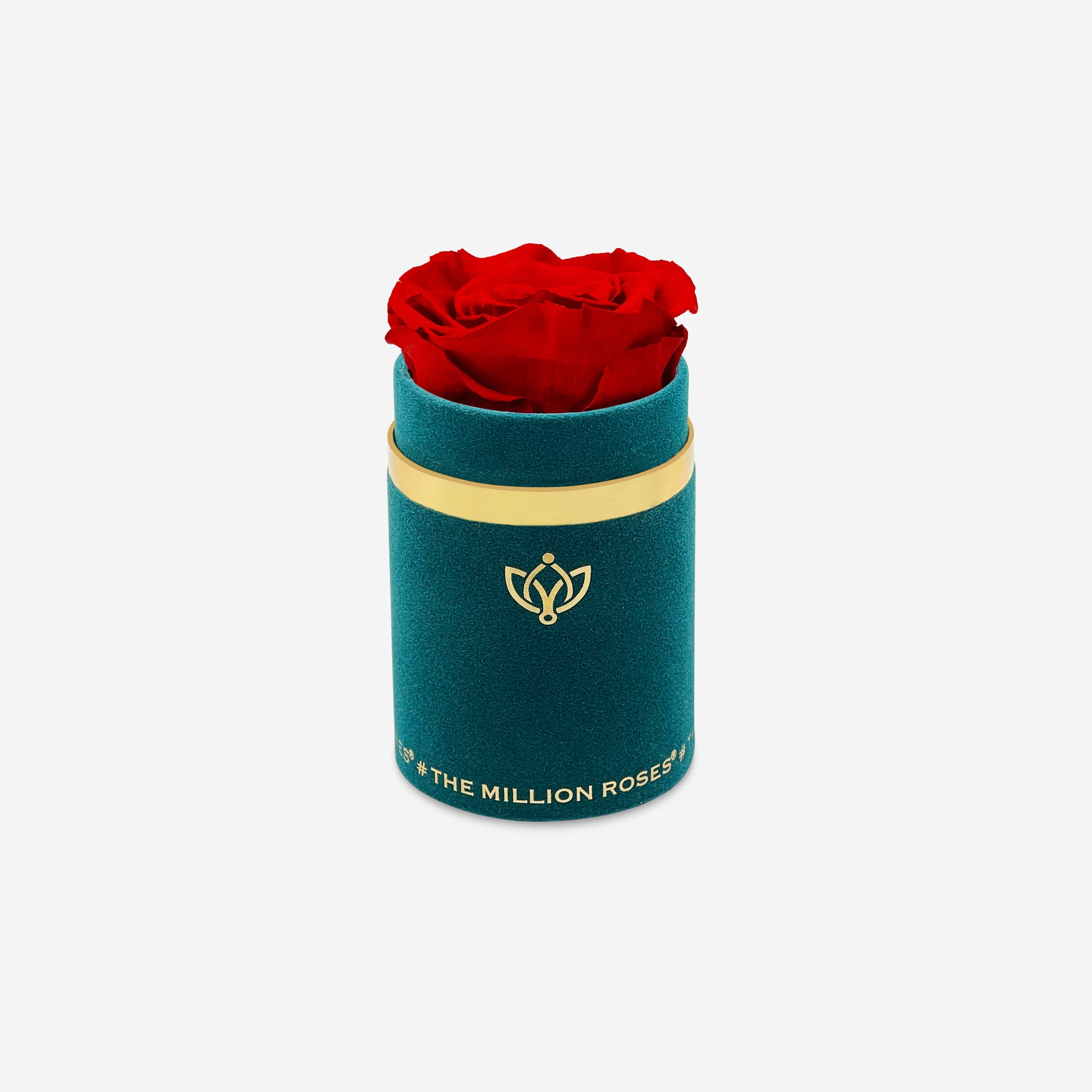 Forever Roses & Preserved Flowers | The Million Roses® | tagged