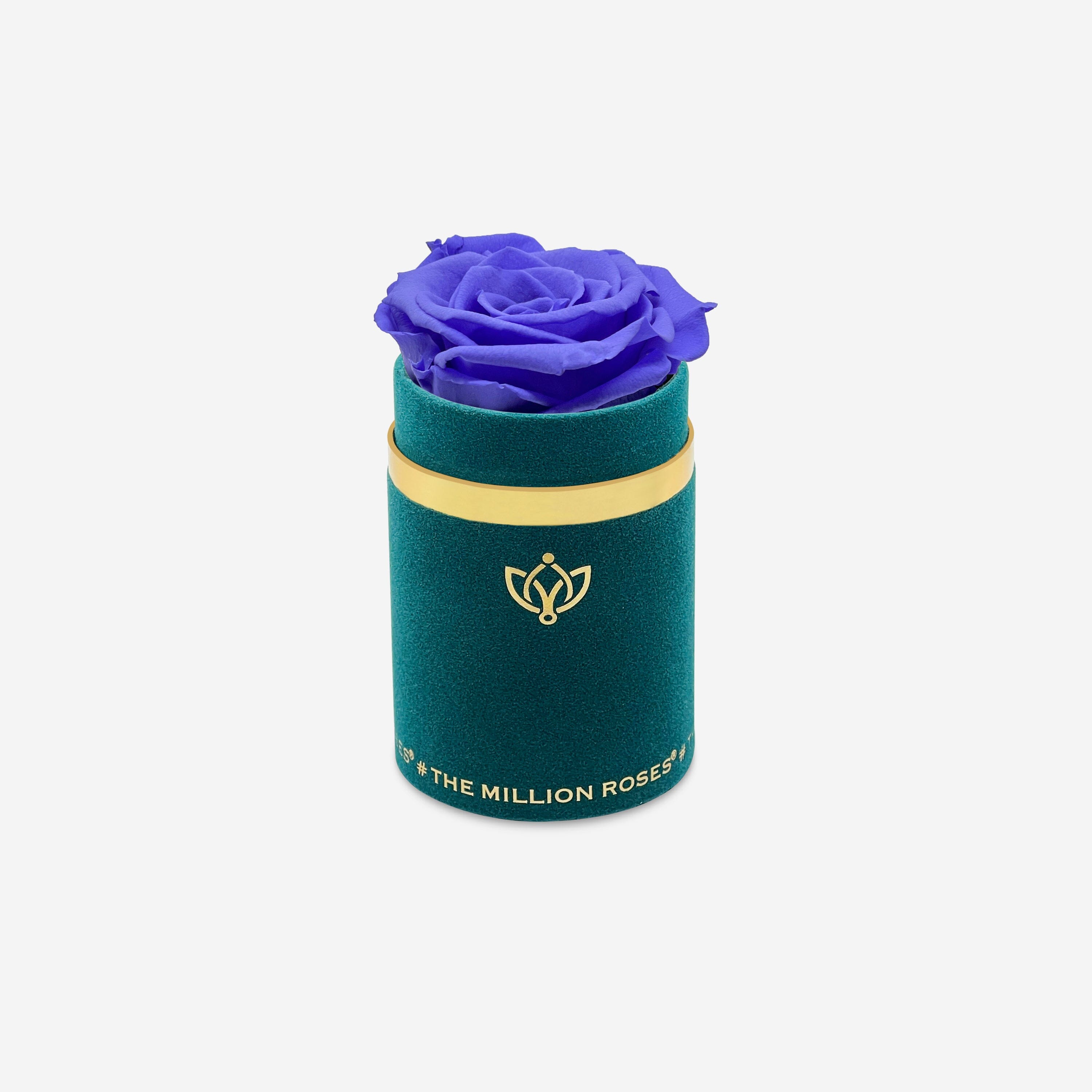 Single Dark Green Suede Box | Violet Rose - The Million Roses