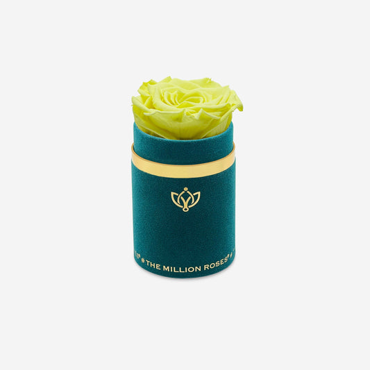 Single Dark Green Suede Box | Canary Yellow Rose - The Million Roses