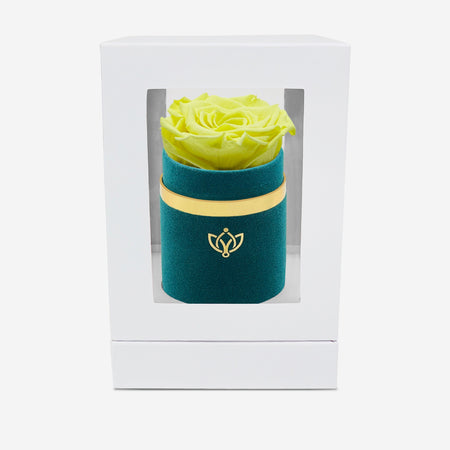 Single Dark Green Suede Box | Canary Yellow Rose - The Million Roses