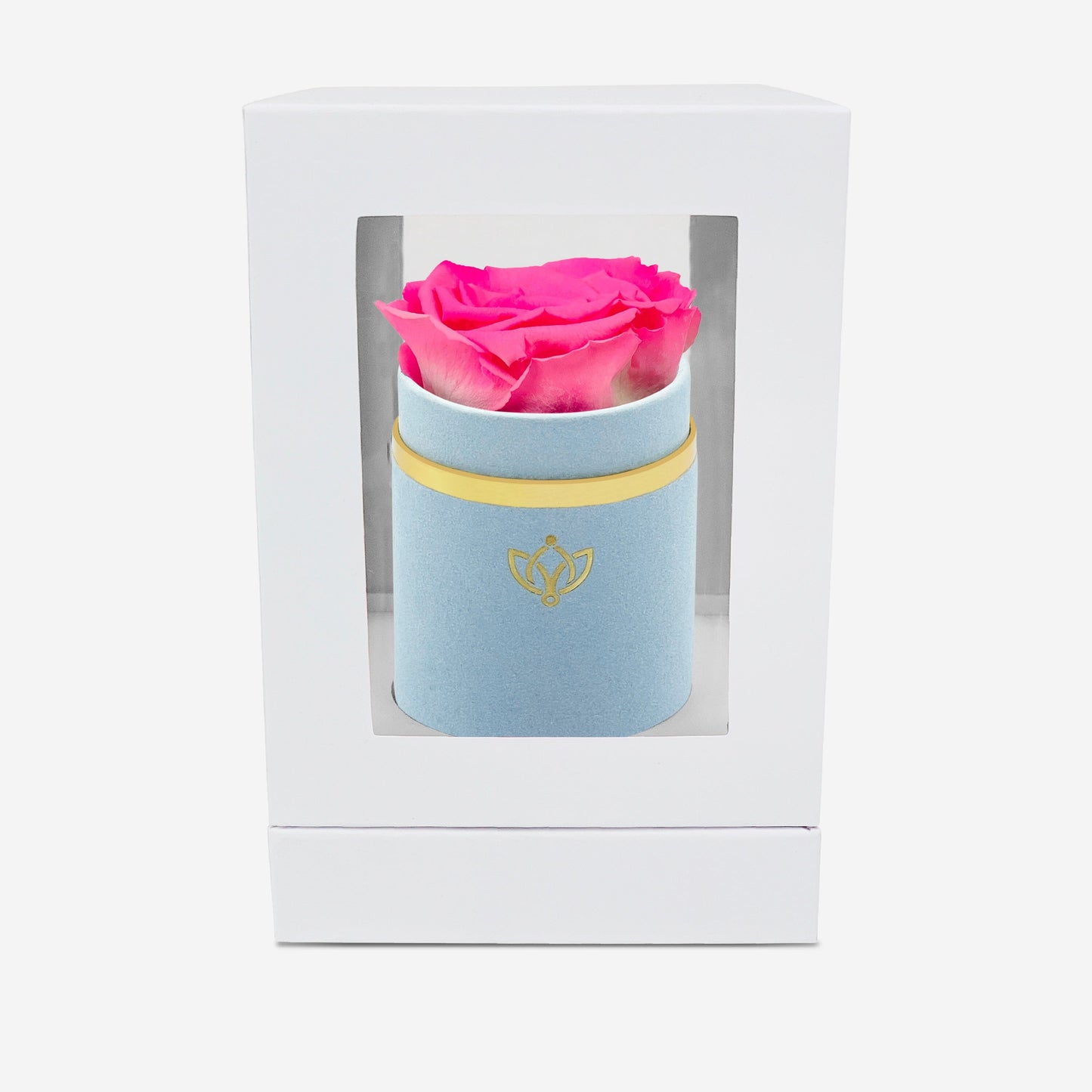 Single Light Blue Suede Box | Candy Pink Rose - The Million Roses
