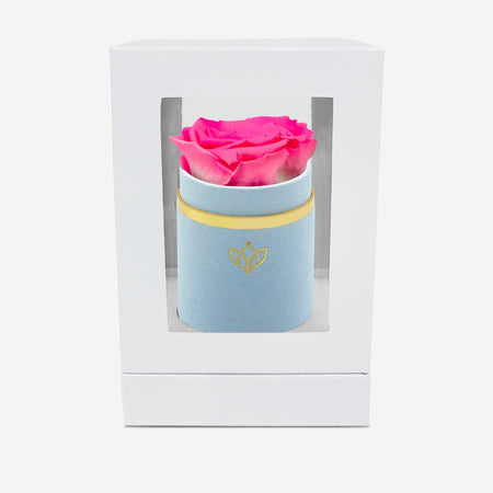 Single Light Blue Suede Box | Candy Pink Rose - The Million Roses