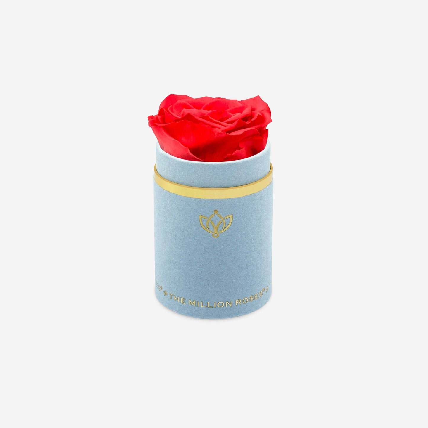 Single Light Blue Suede Box | Coral Rose - The Million Roses