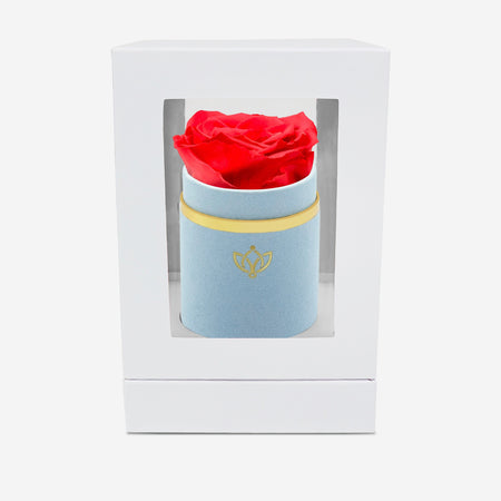Single Light Blue Suede Box | Coral Rose - The Million Roses