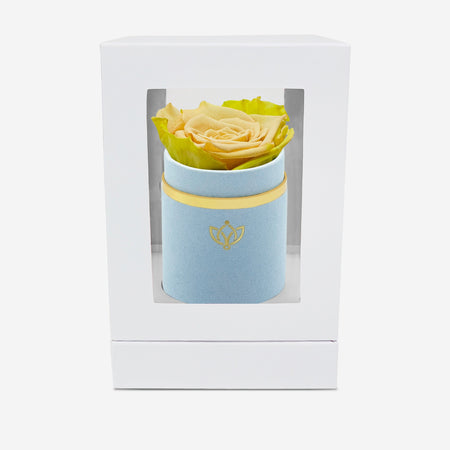 Single Light Blue Suede Box | Fawn Bicolor Rose - The Million Roses