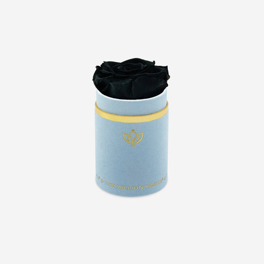 Single Light Blue Suede Box | Black Rose - The Million Roses