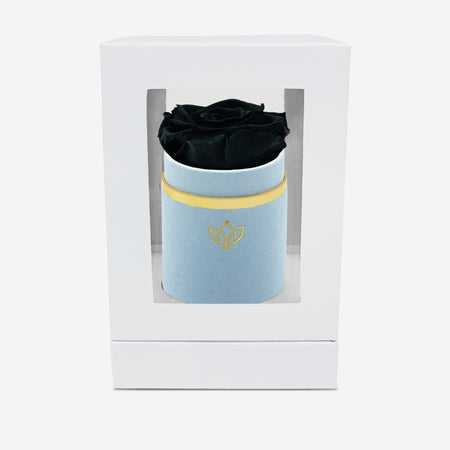 Single Light Blue Suede Box | Black Rose - The Million Roses