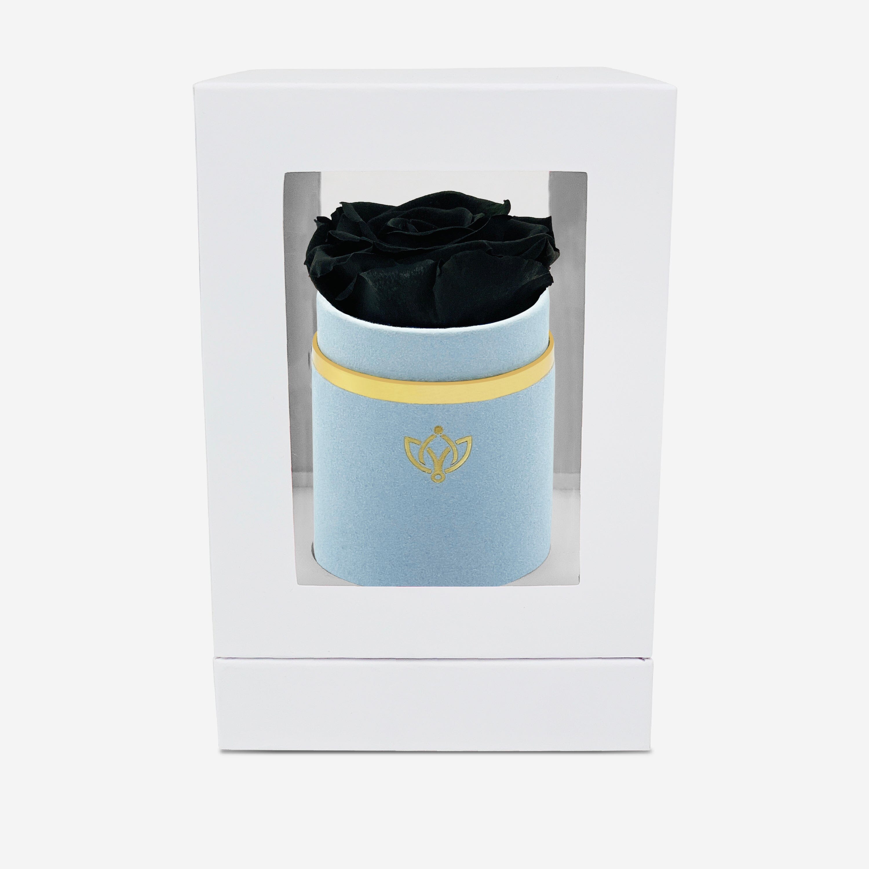 Single Light Blue Suede Box | Black Rose - The Million Roses