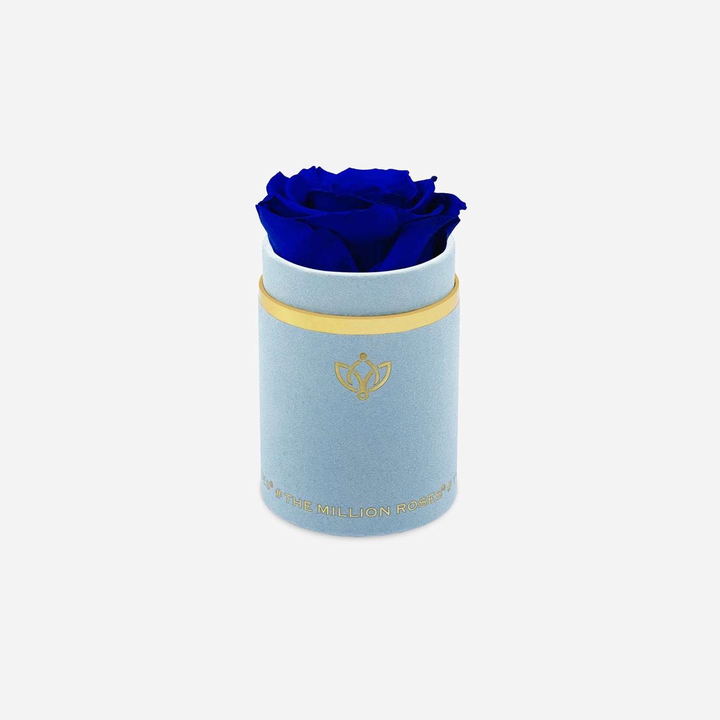 Single Light Blue Suede Box | Royal Blue Rose - The Million Roses