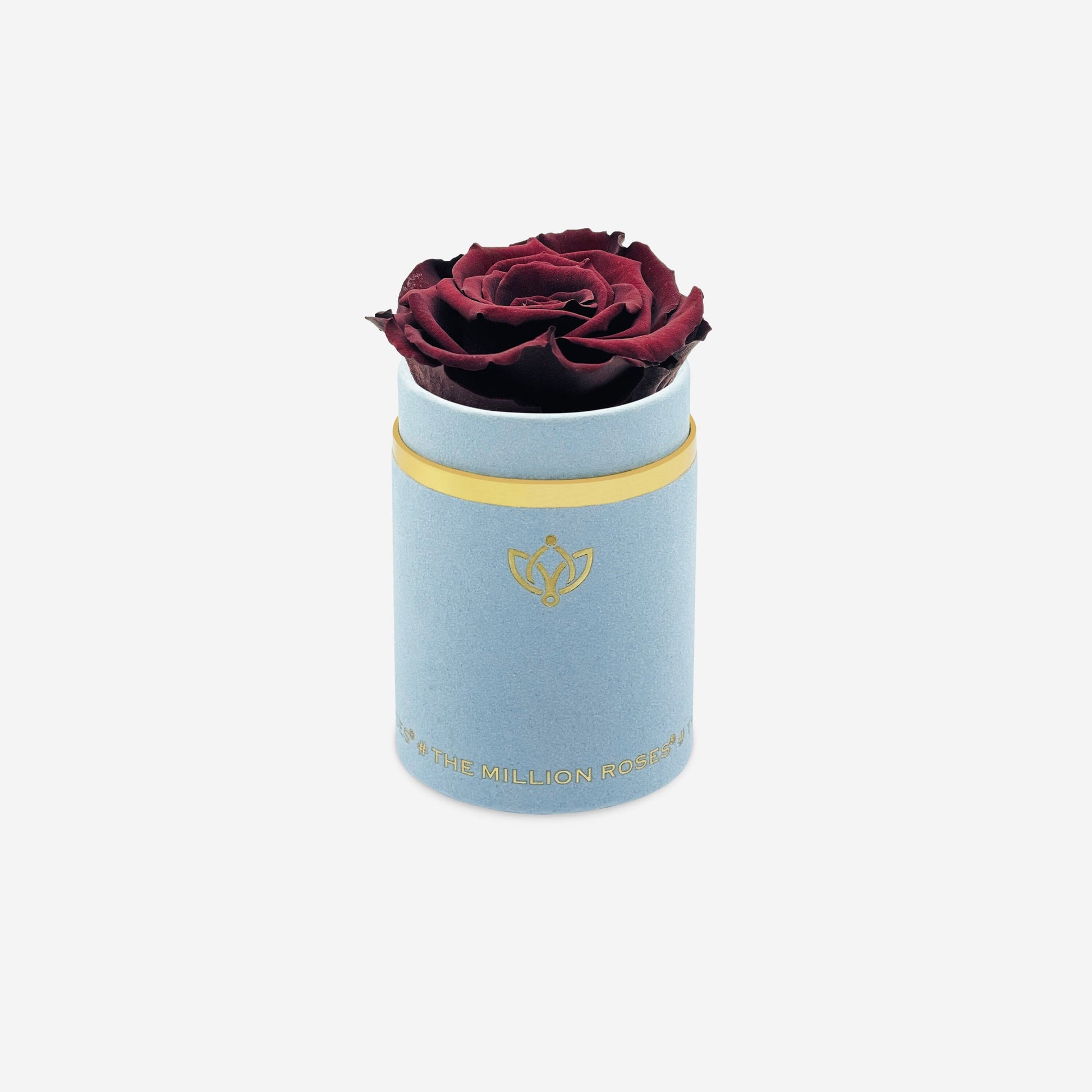 Single Light Blue Suede Box | Mahogany Rose - The Million Roses