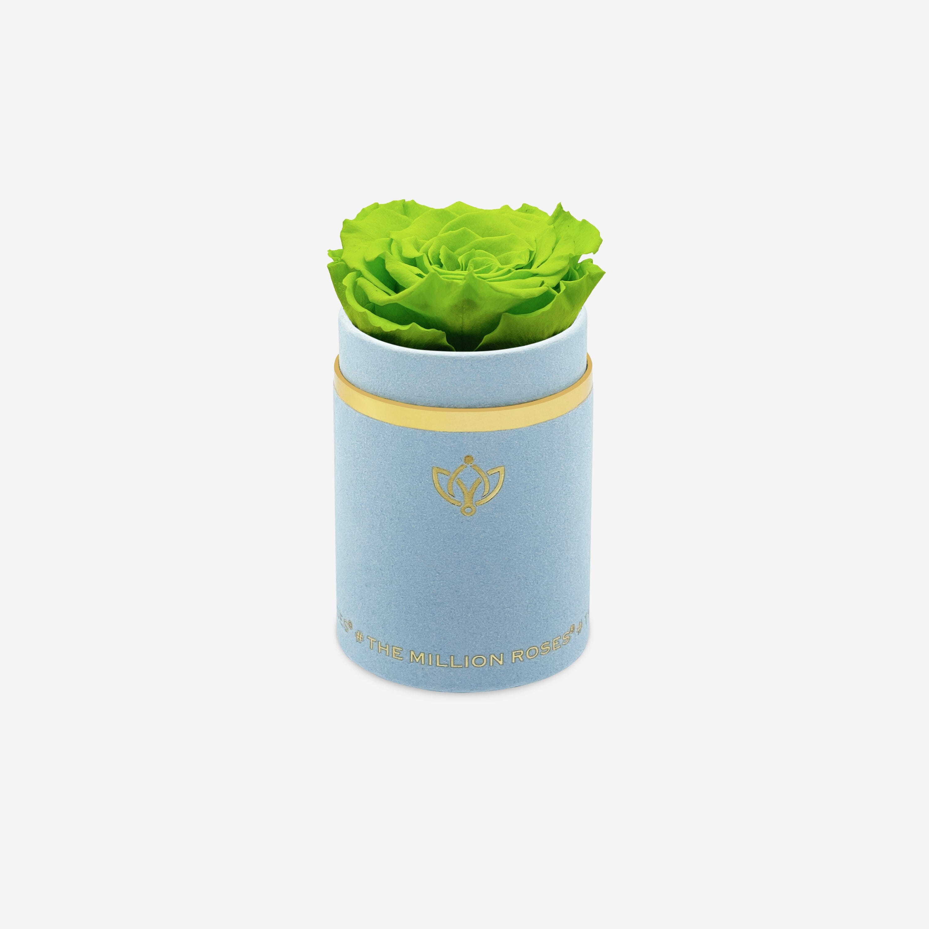 Single Light Blue Suede Box | Light Green Rose - The Million Roses