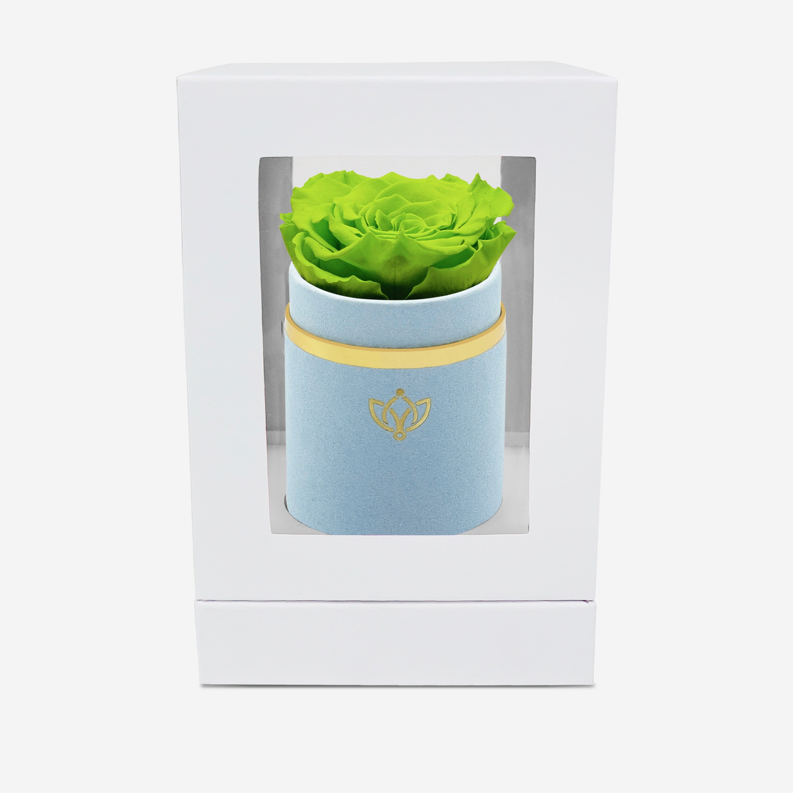 Single Light Blue Suede Box | Light Green Rose - The Million Roses