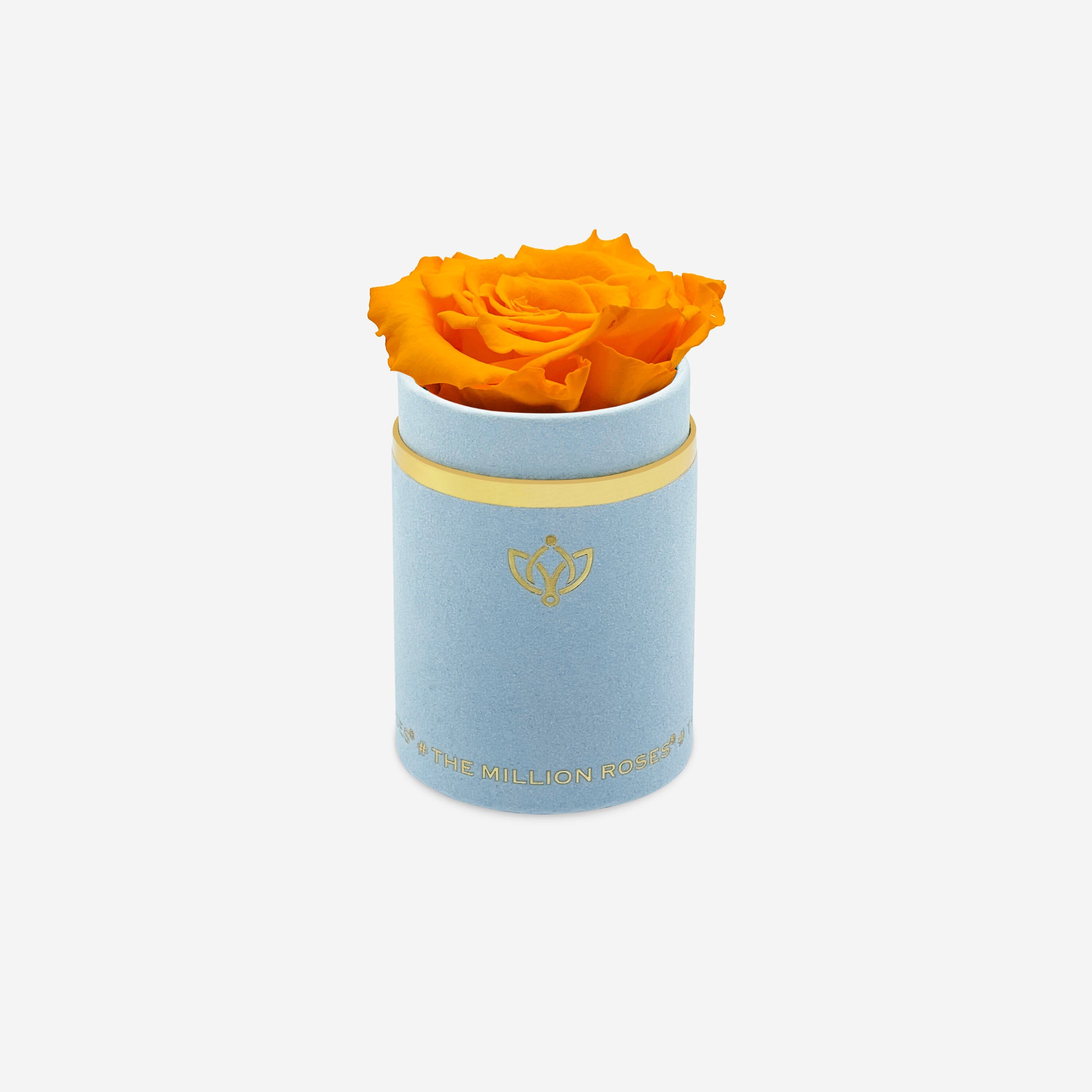 Single Light Blue Suede Box | Orange Rose - The Million Roses