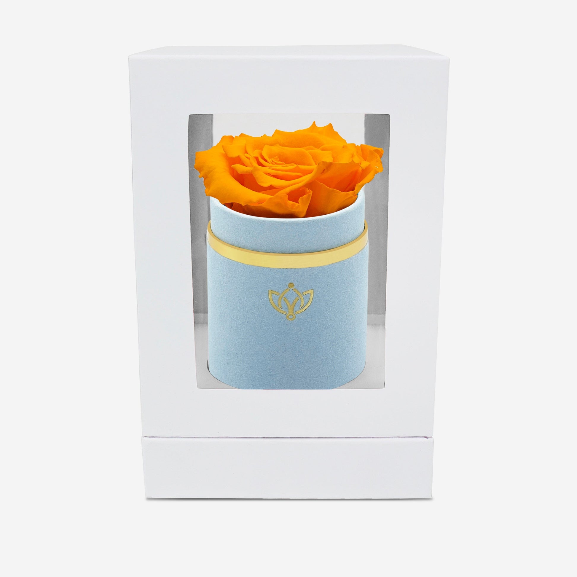 Single Light Blue Suede Box | Orange Rose - The Million Roses