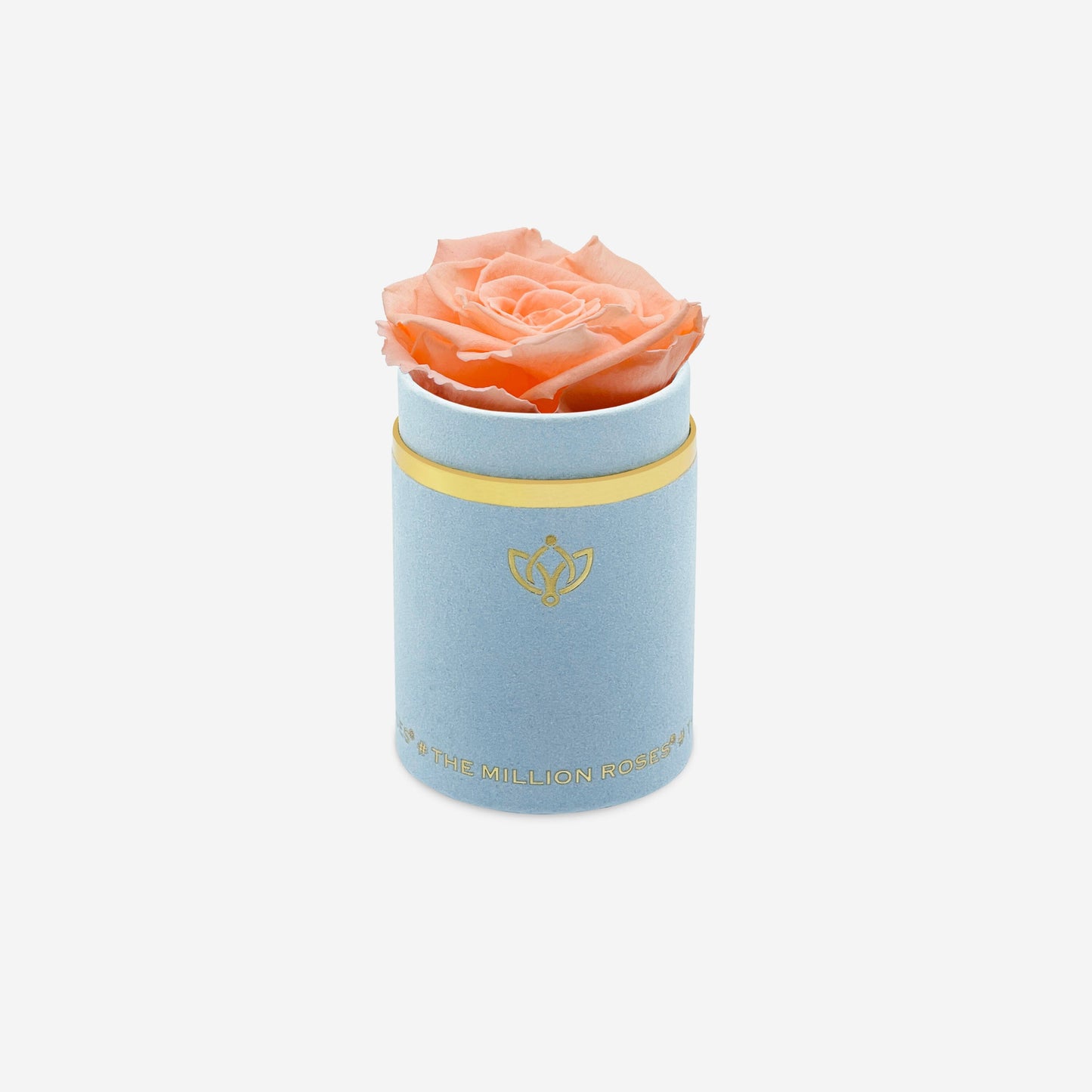 Single Light Blue Suede Box | Peach Rose - The Million Roses