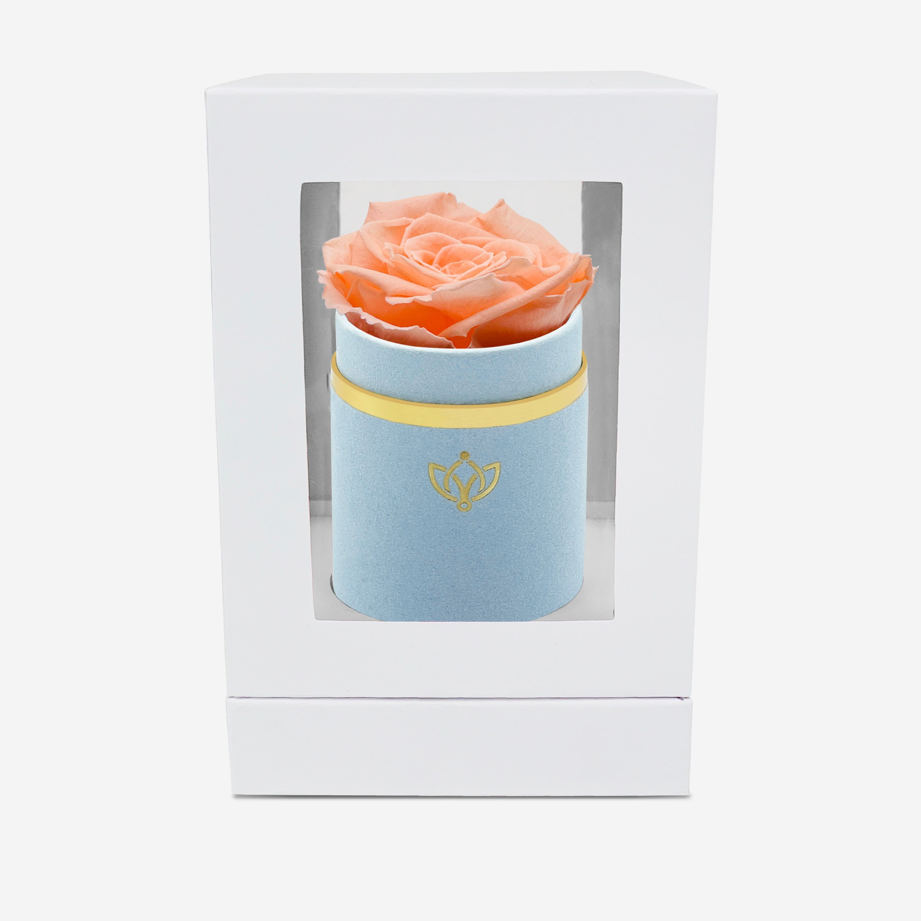 Single Light Blue Suede Box | Peach Rose - The Million Roses