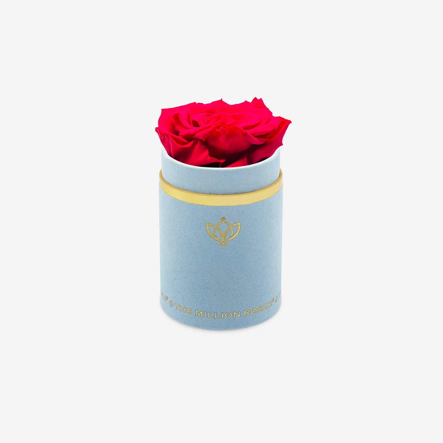 Single Light Blue Suede Box | Hot Pink Rose - The Million Roses