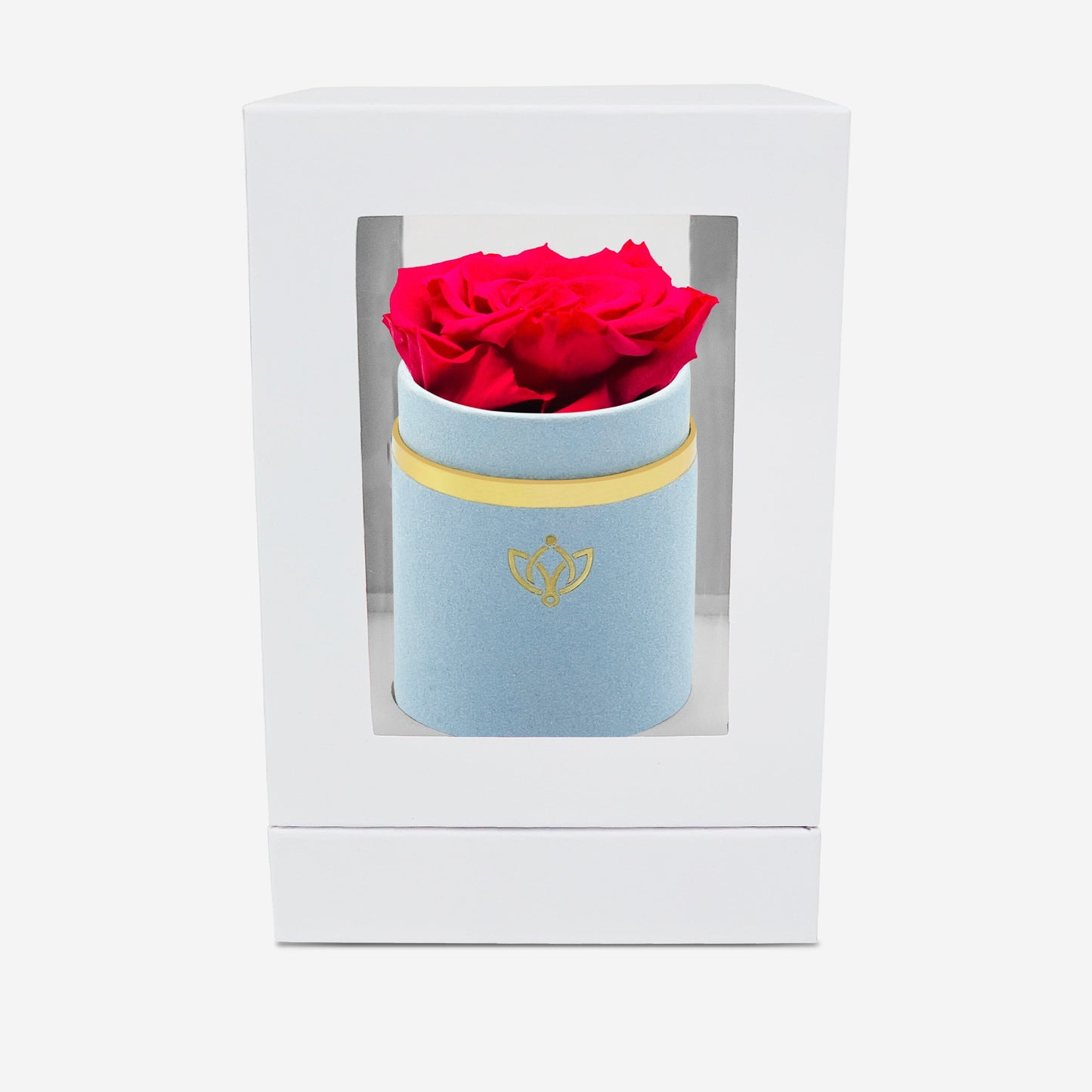 Single Light Blue Suede Box | Hot Pink Rose - The Million Roses