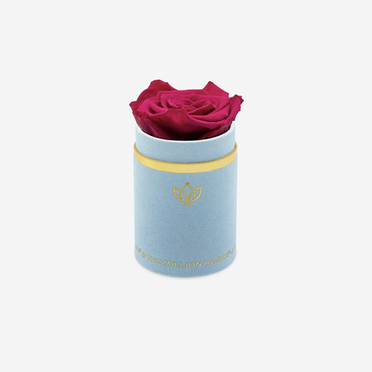 Single Light Blue Suede Box | Magenta Rose - The Million Roses