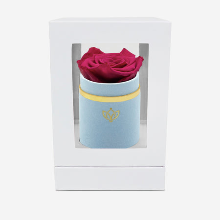Single Light Blue Suede Box | Magenta Rose - The Million Roses