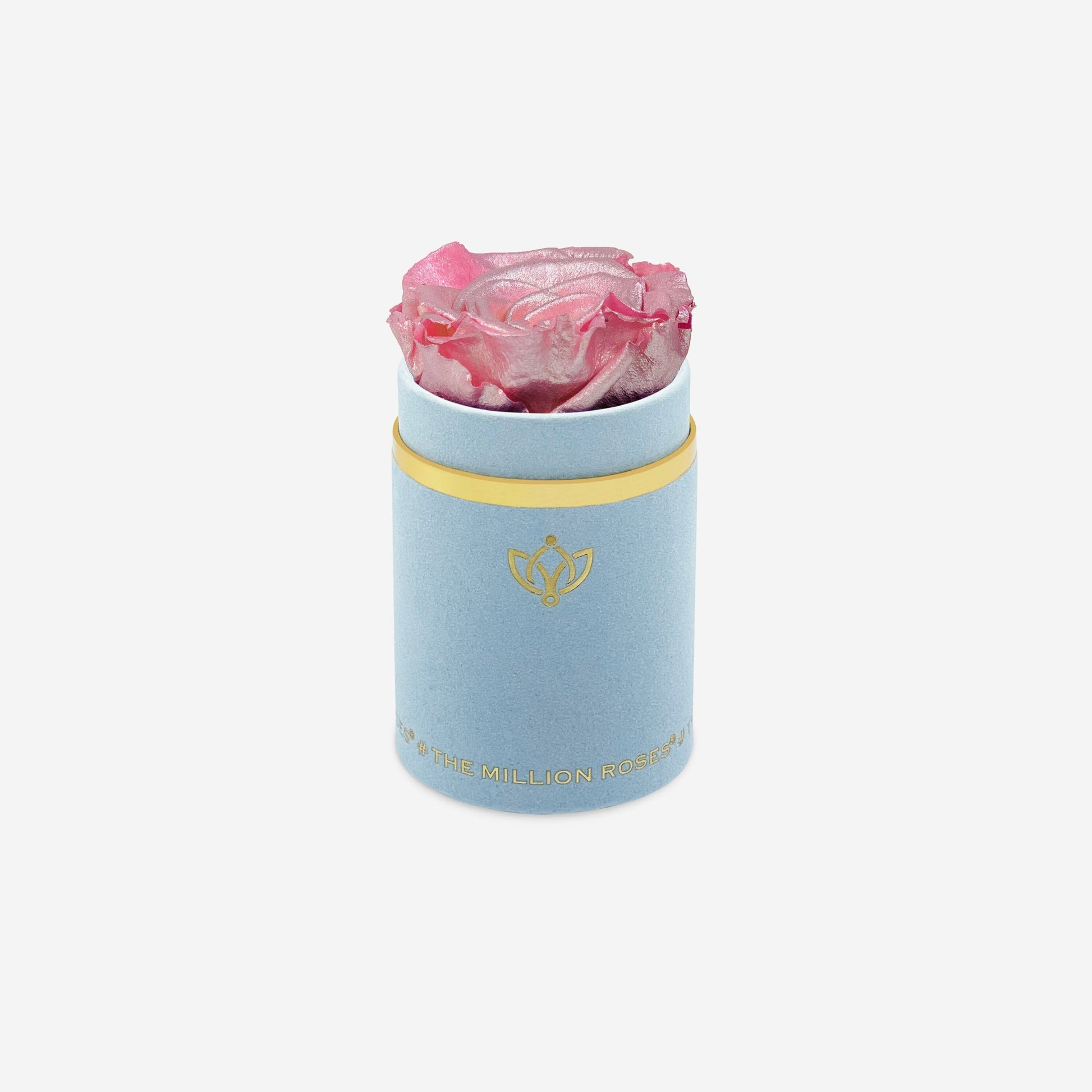 Single Light Blue Suede Box | Pink Gold Rose - The Million Roses