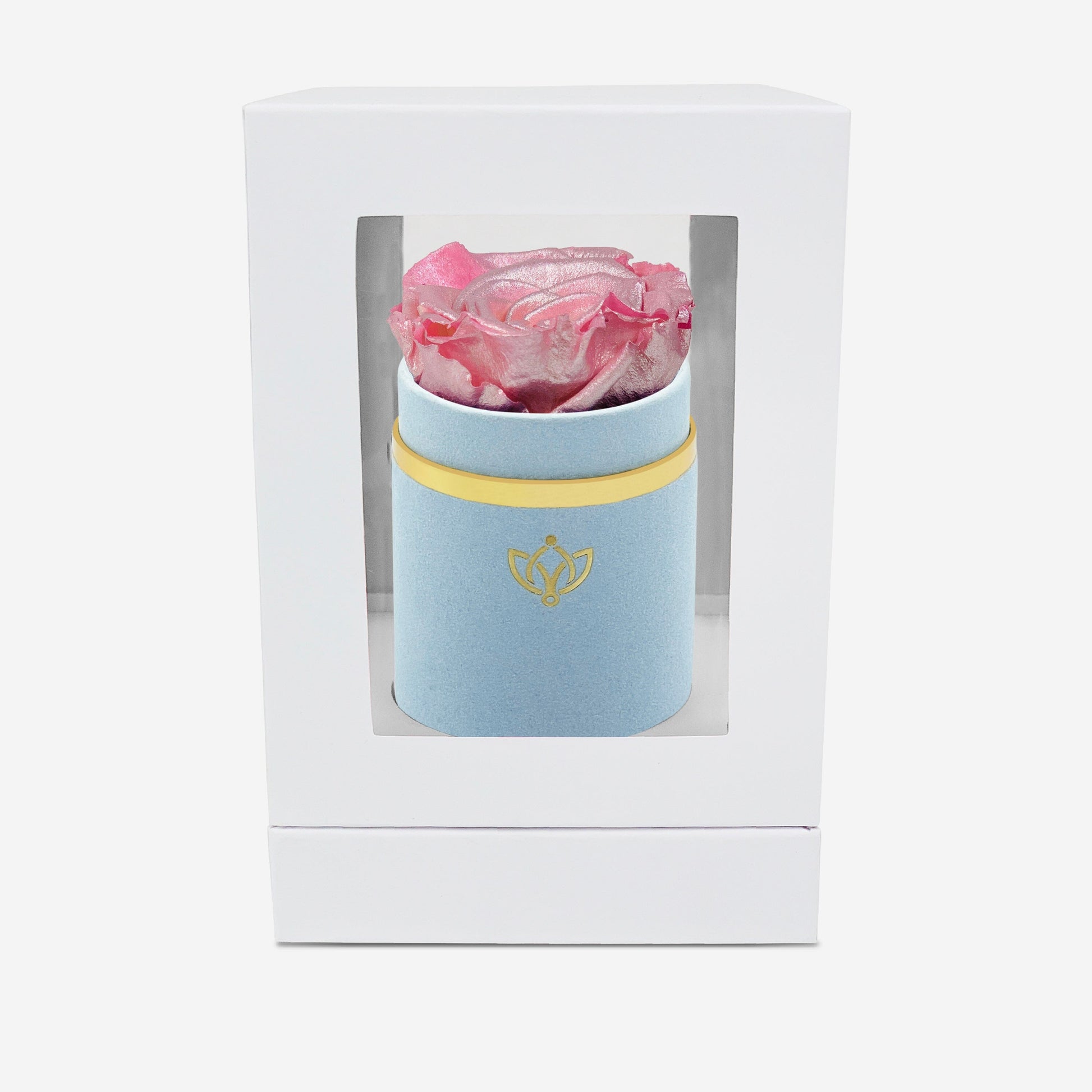 Single Light Blue Suede Box | Pink Gold Rose - The Million Roses