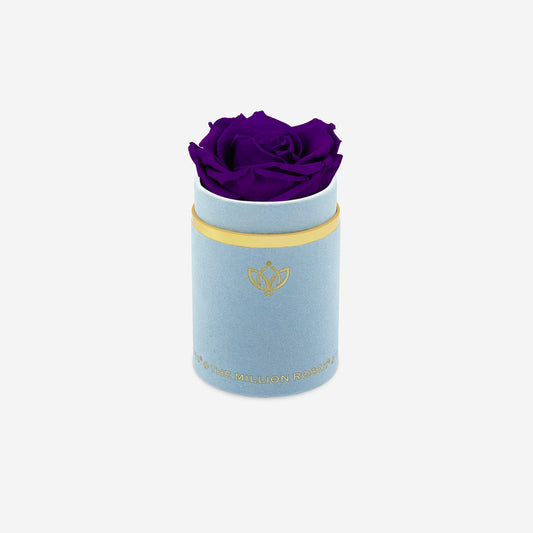 Single Light Blue Suede Box | Bright Purple Rose - The Million Roses