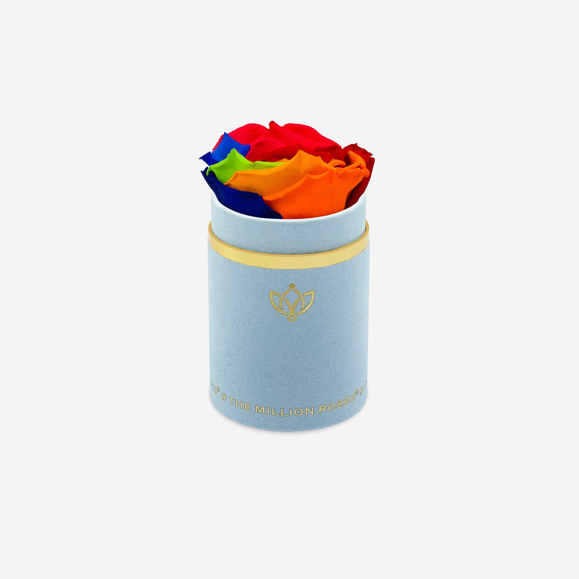 Single Light Blue Suede Box | Rainbow Rose - The Million Roses