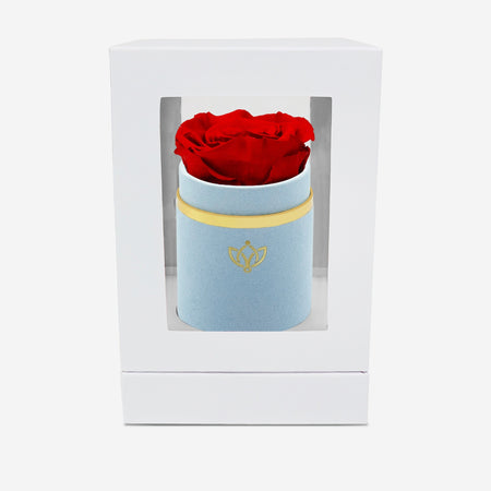 Single Light Blue Suede Box | Red Rose - The Million Roses