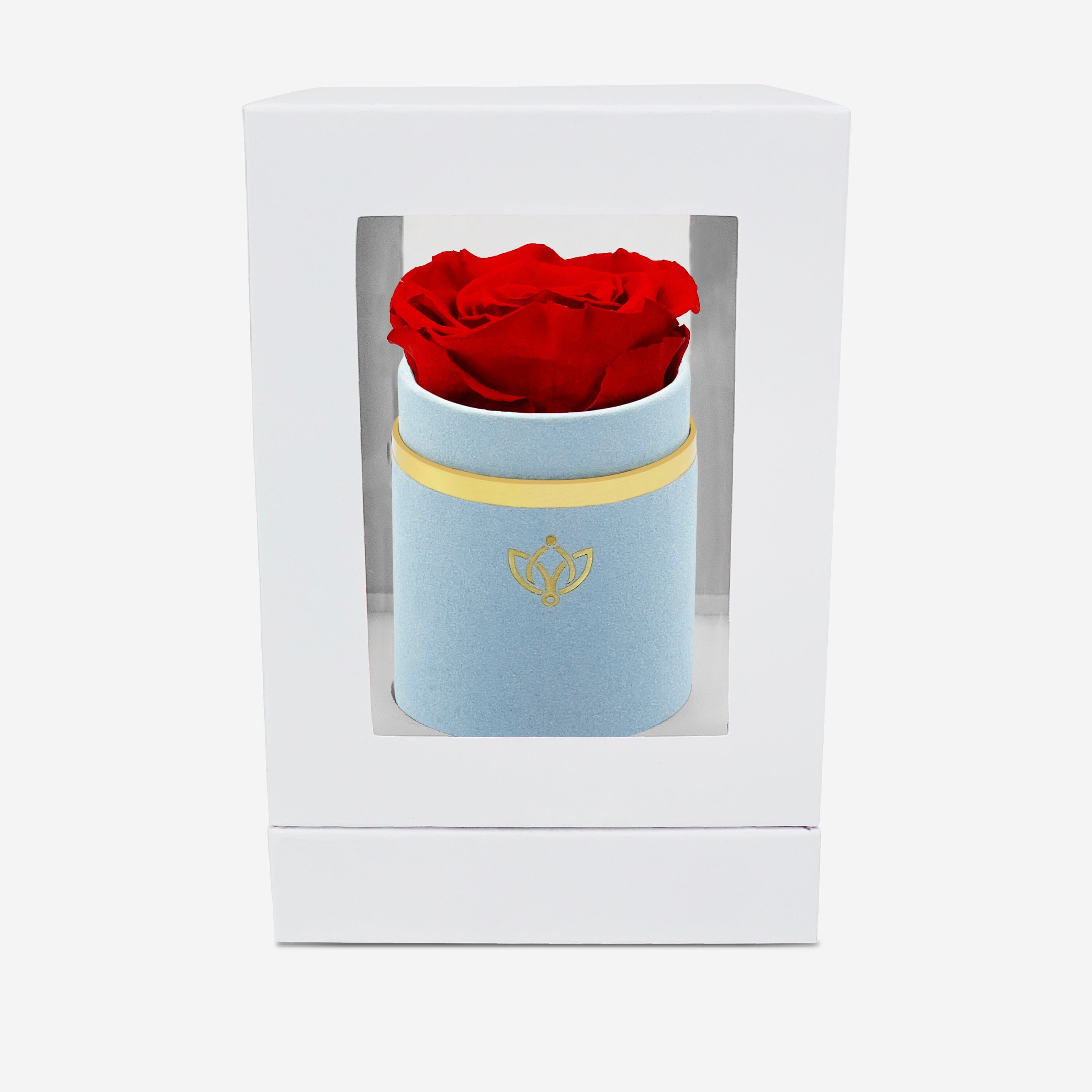 Single Light Blue Suede Box | Red Rose - The Million Roses