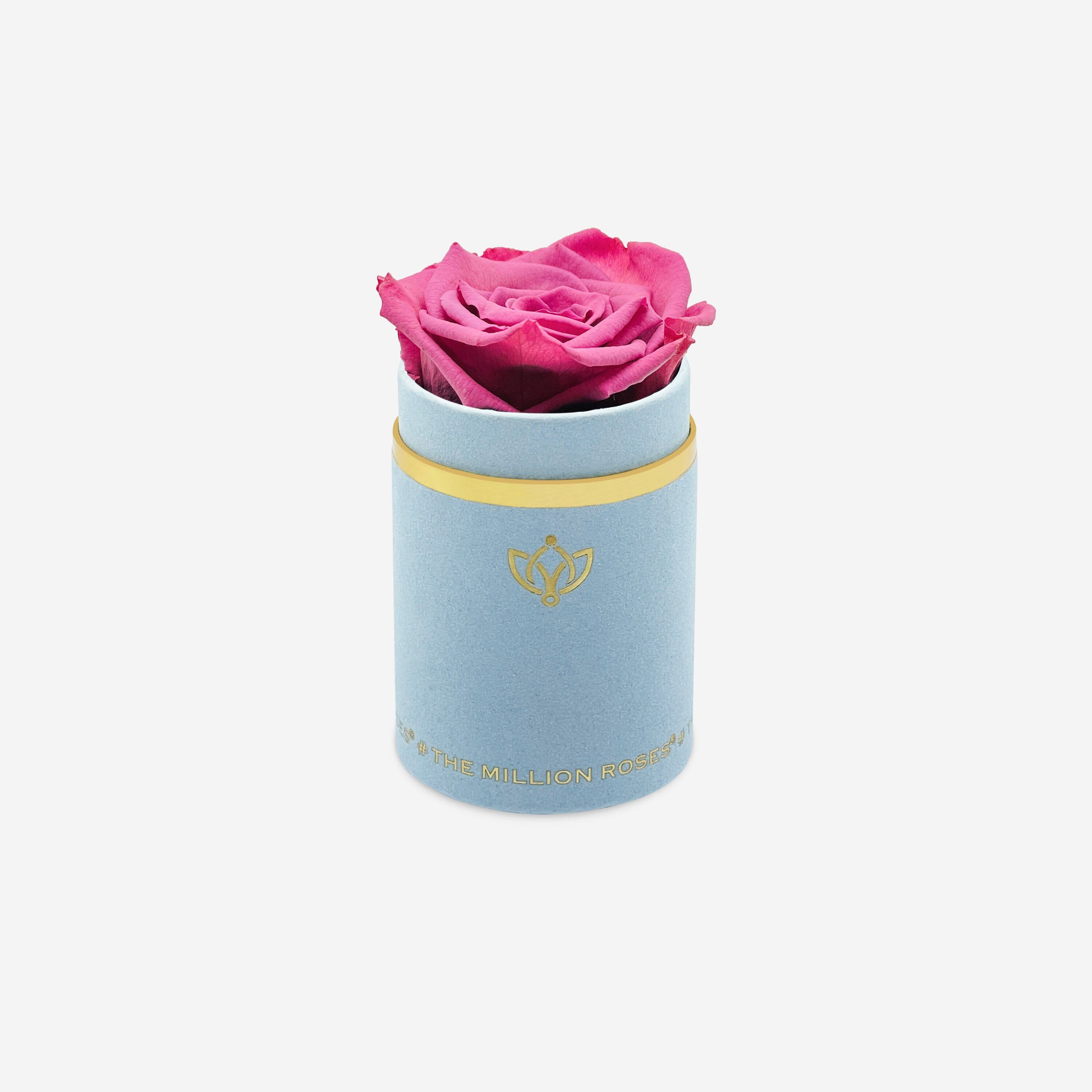 Single Light Blue Suede Box | Orchid Rose - The Million Roses