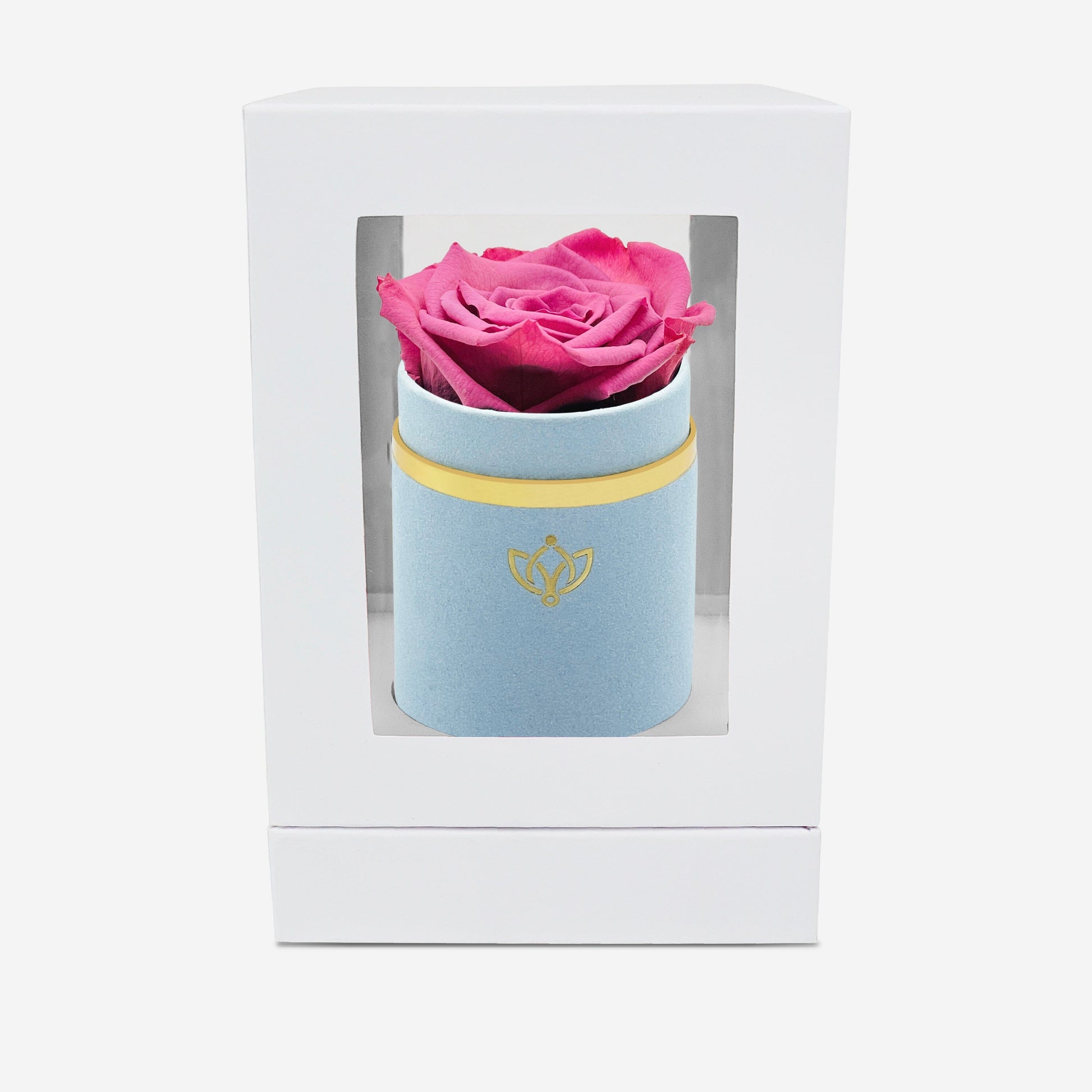 Single Light Blue Suede Box | Orchid Rose - The Million Roses