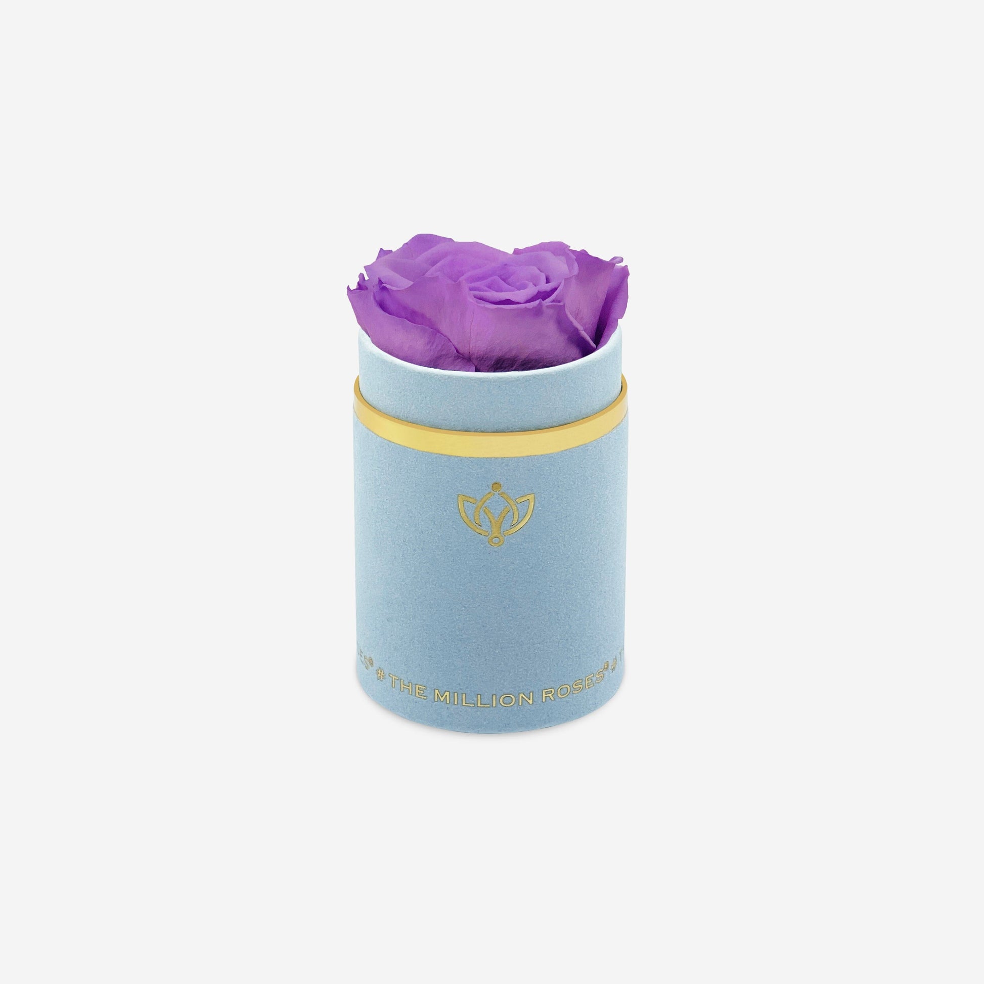 Single Light Blue Suede Box | Lavender Rose - The Million Roses