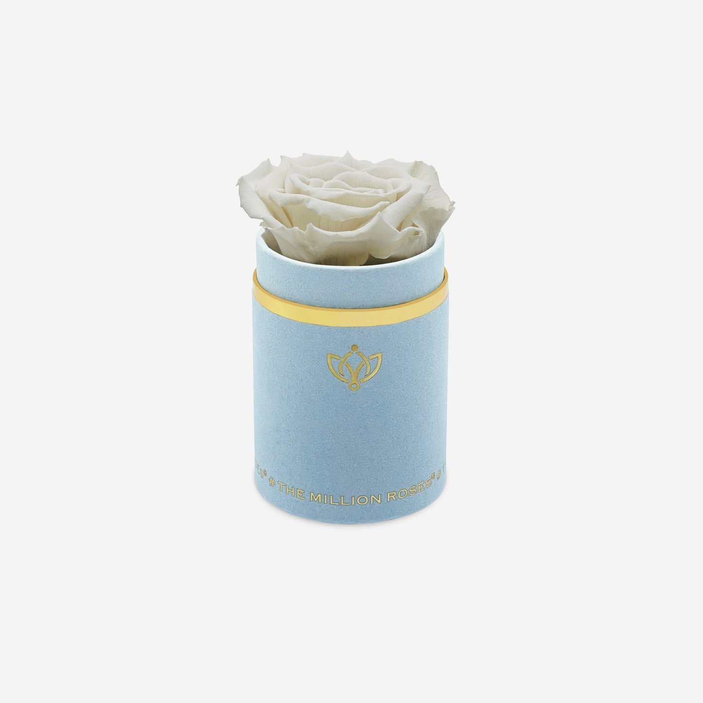 Single Light Blue Suede Box | Off White Rose - The Million Roses