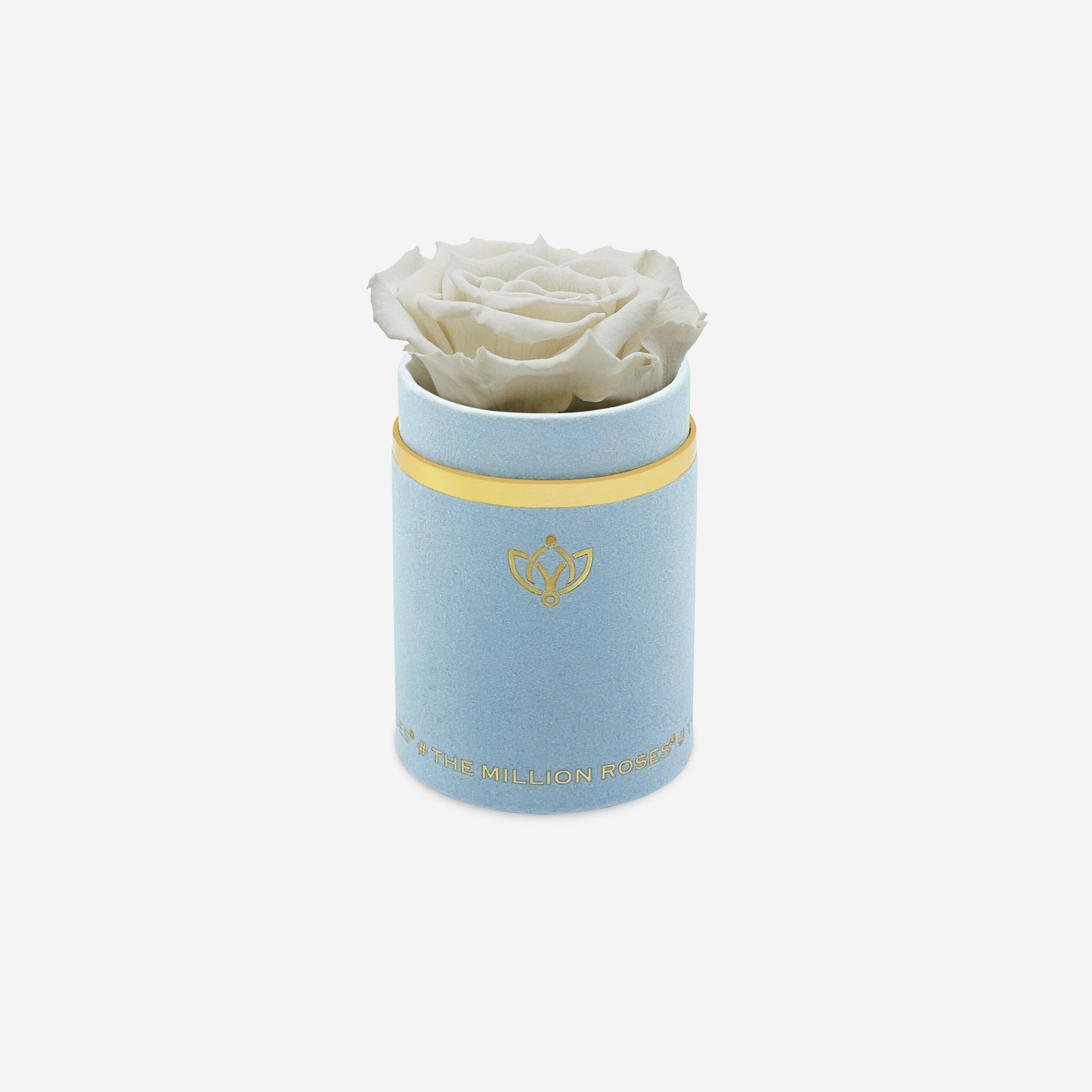 Single Light Blue Suede Box | Off White Rose - The Million Roses