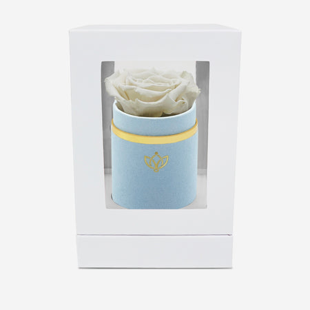 Single Light Blue Suede Box | Off White Rose - The Million Roses