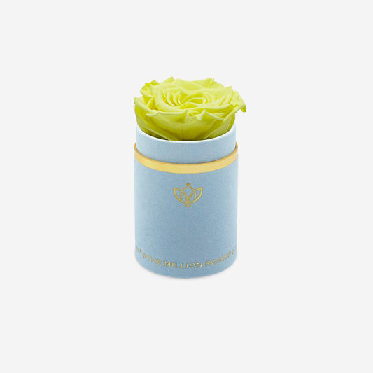 Single Light Blue Suede Box | Canary Yellow Rose - The Million Roses