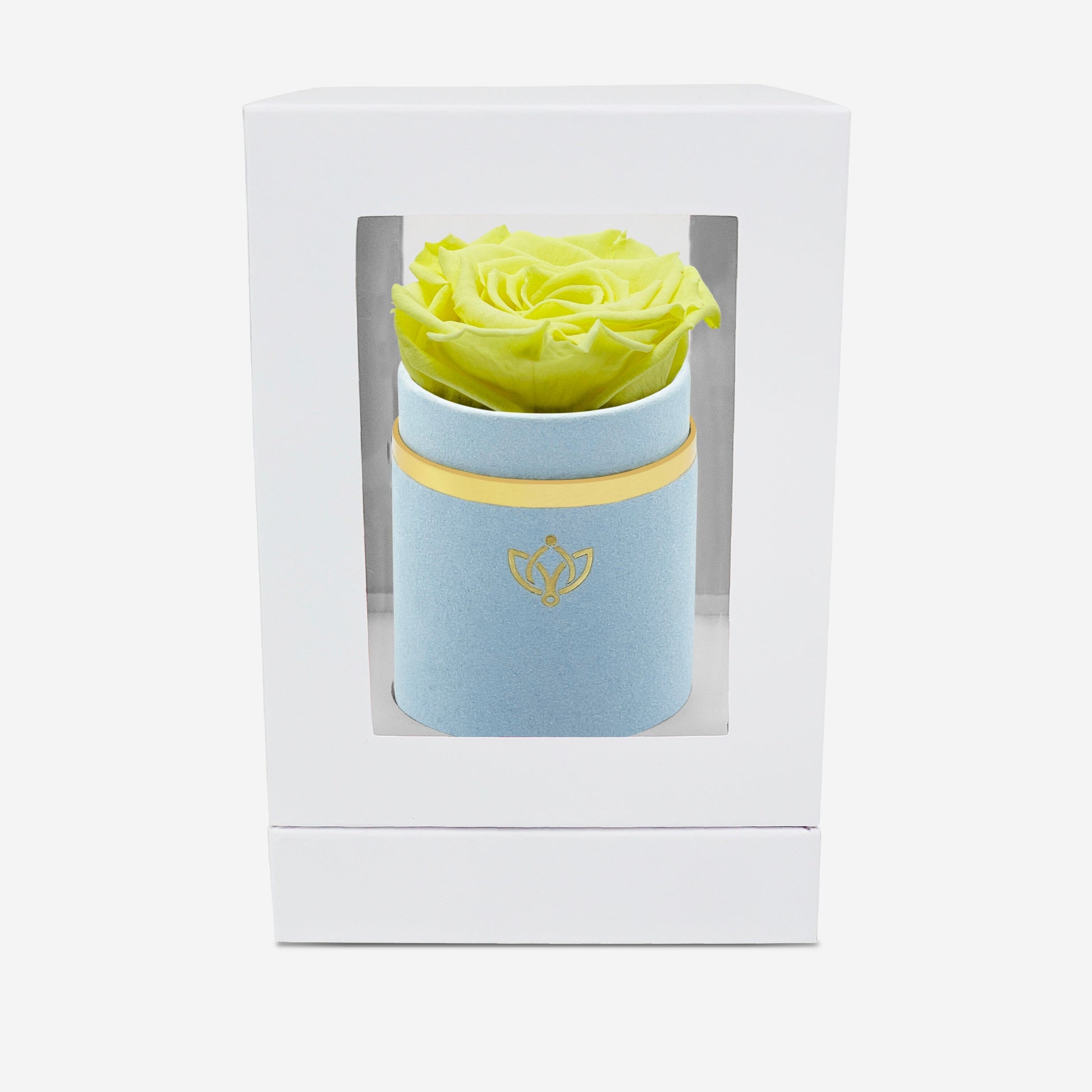 Single Light Blue Suede Box | Canary Yellow Rose - The Million Roses