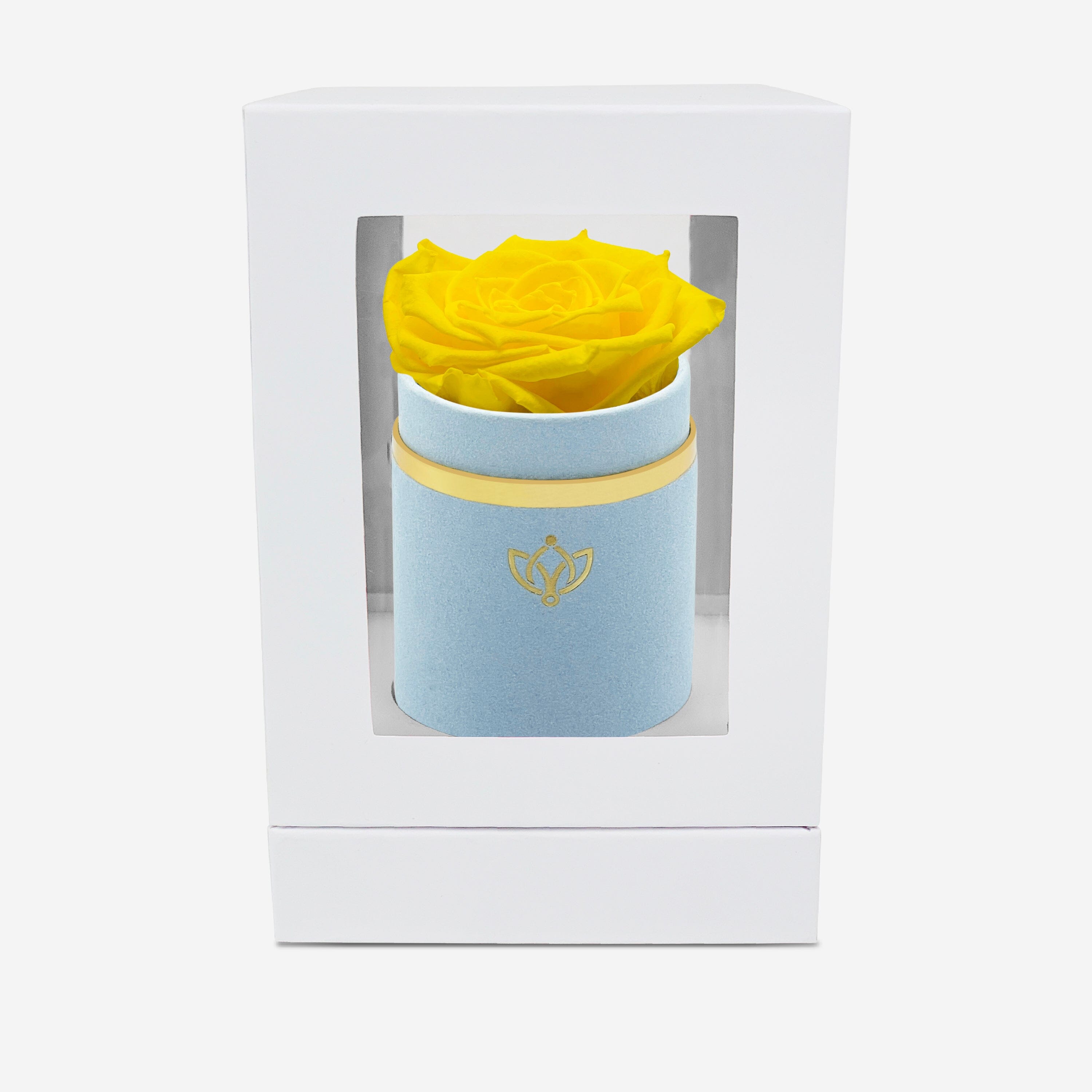 Single Light Blue Suede Box | Yellow Rose - The Million Roses